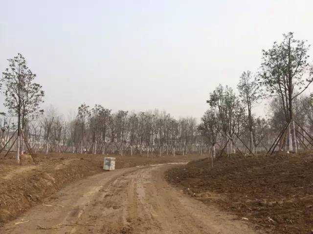 點(diǎn)擊查看大圖 T1cDJTB_Jv1RCvBVdK.jpg