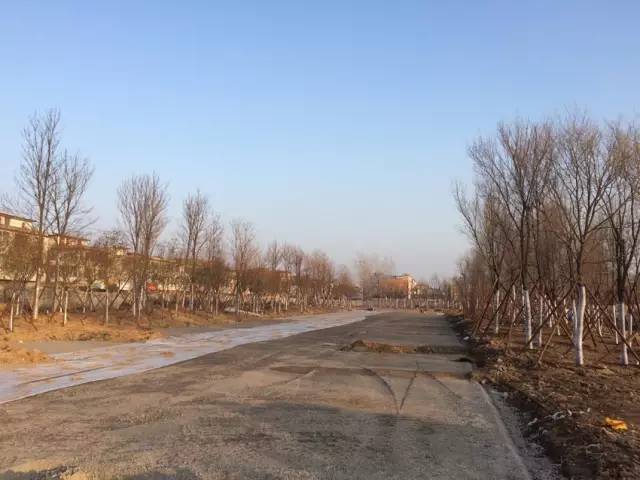 點(diǎn)擊查看大圖 T1uDYTB4AT1RCvBVdK.jpg