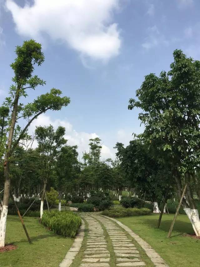 點(diǎn)擊查看大圖 T11DDTBCCT1RCvBVdK.jpg