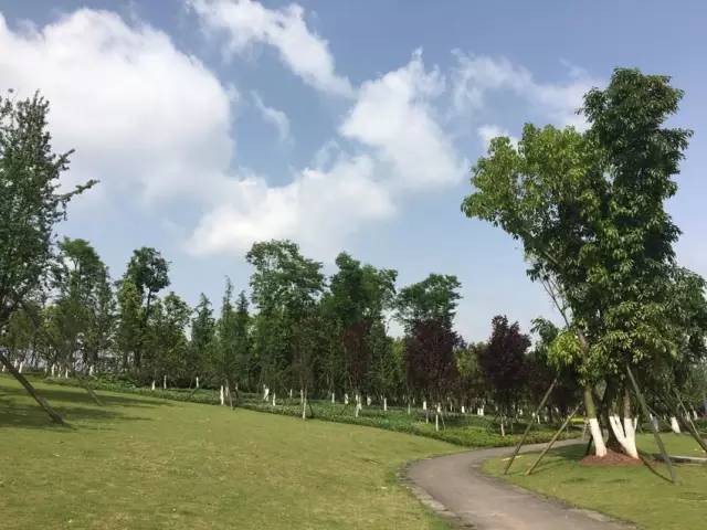 點(diǎn)擊查看大圖 T1S_YTBXxT1RCvBVdK.jpg